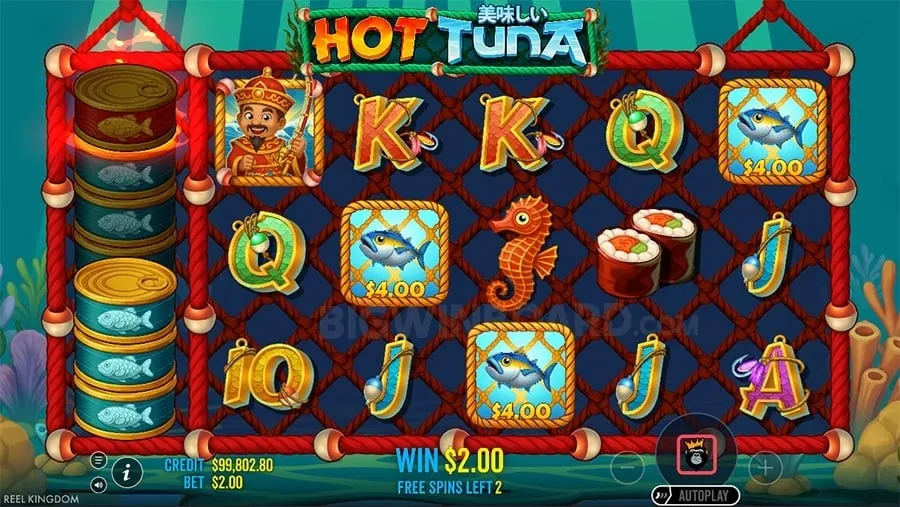 Daily Cashback Offer